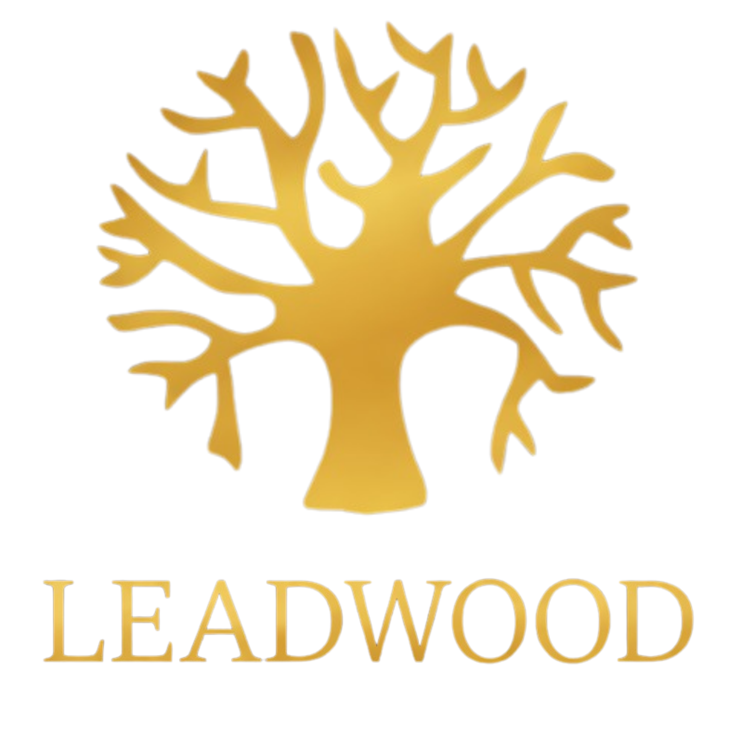 leadwood-lodge-logo-louis-trichardt